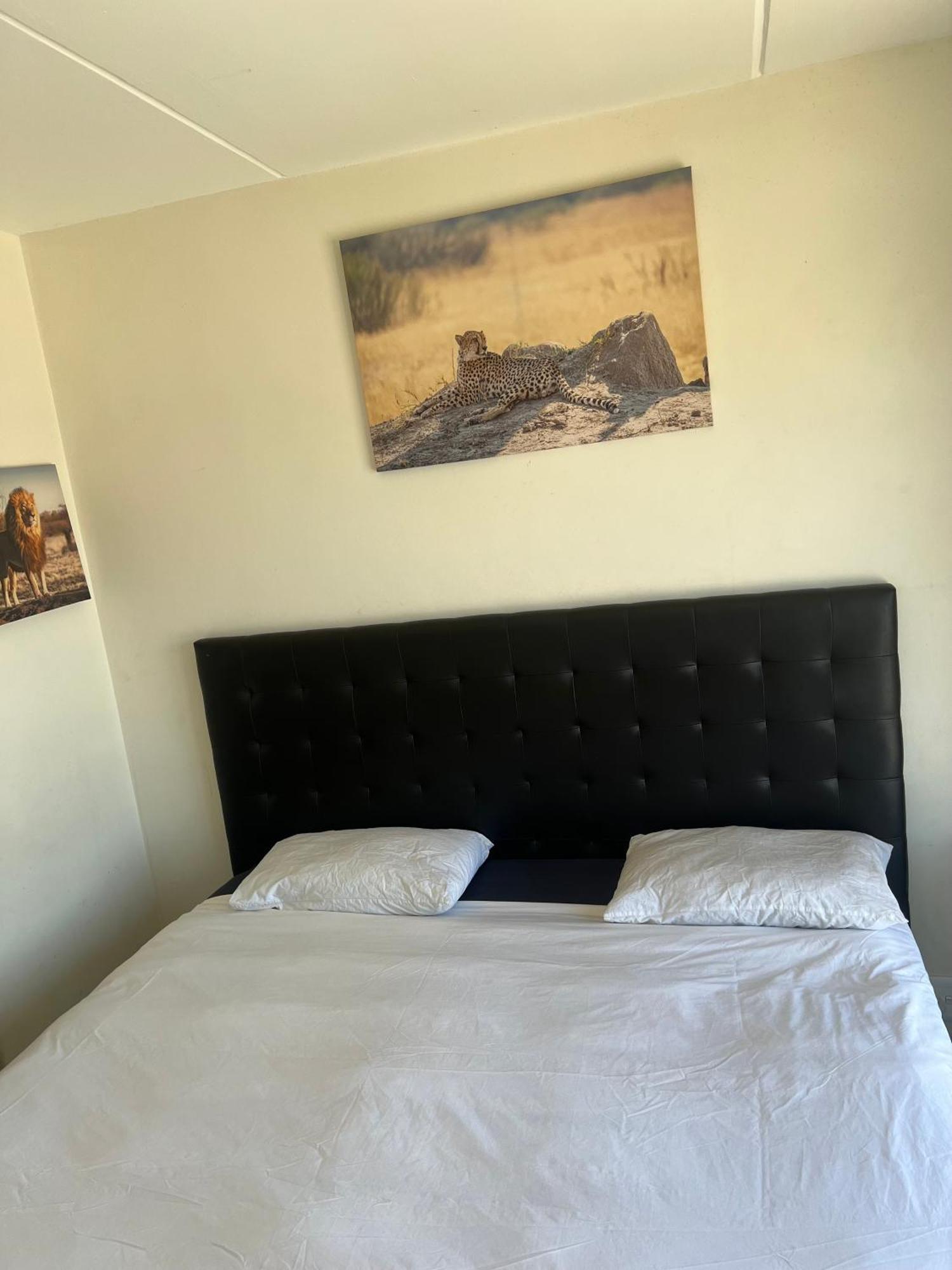 Sunny Escape Rentals Parklands Eksteriør bilde